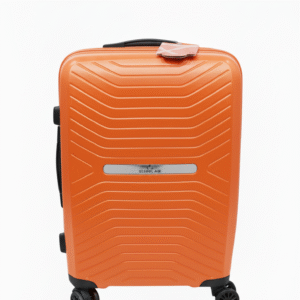 Valise simple Silicon